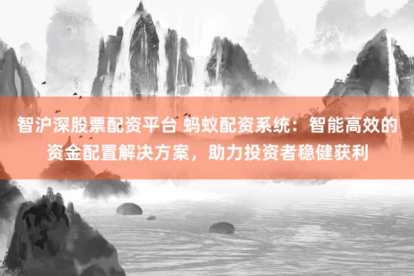 智沪深股票配资平台 蚂蚁配资系统：智能高效的资金配置解决方案，助力投资者稳健获利