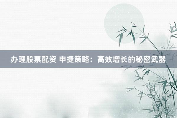 办理股票配资 申捷策略：高效增长的秘密武器