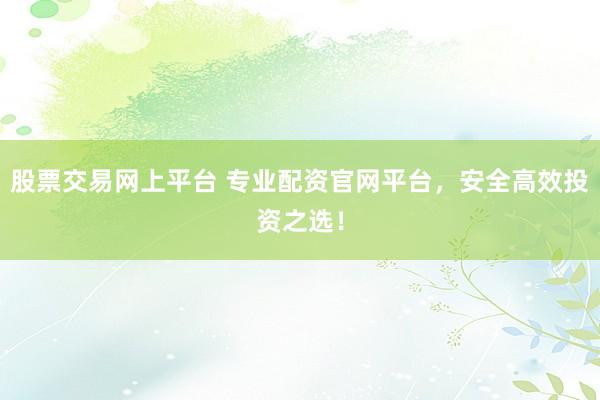 股票交易网上平台 专业配资官网平台，安全高效投资之选！