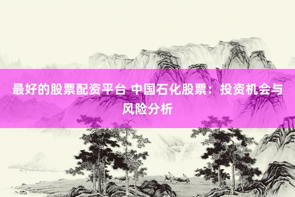 最好的股票配资平台 中国石化股票：投资机会与风险分析