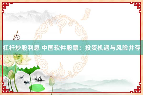 杠杆炒股利息 中国软件股票：投资机遇与风险并存
