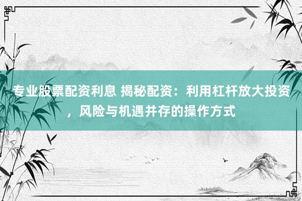 专业股票配资利息 揭秘配资：利用杠杆放大投资，风险与机遇并存的操作方式