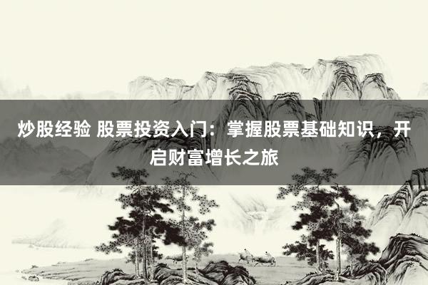 炒股经验 股票投资入门：掌握股票基础知识，开启财富增长之旅