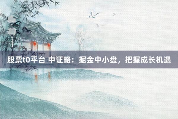 股票t0平台 中证略：掘金中小盘，把握成长机遇