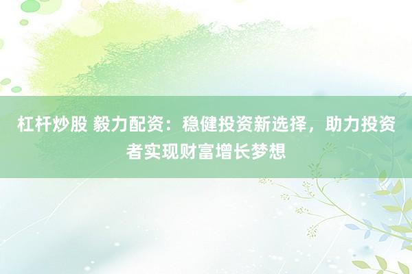 杠杆炒股 毅力配资：稳健投资新选择，助力投资者实现财富增长梦想