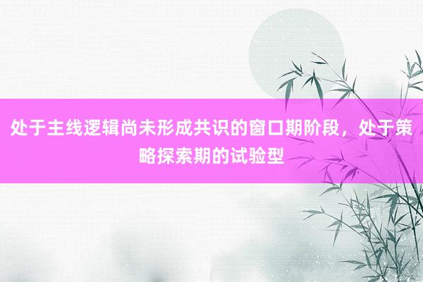 处于主线逻辑尚未形成共识的窗口期阶段，处于策略探索期的试验型