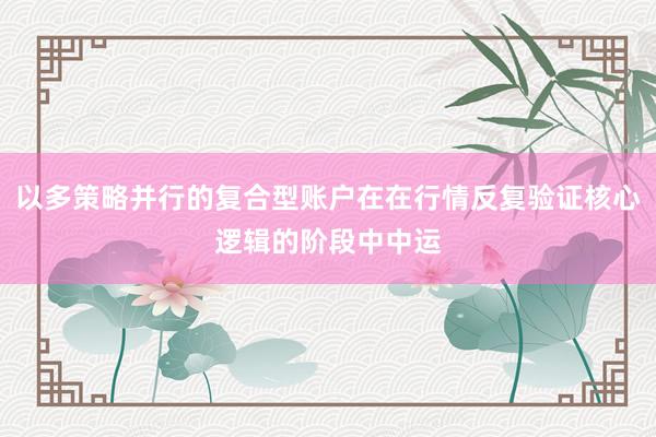 以多策略并行的复合型账户在在行情反复验证核心逻辑的阶段中中运