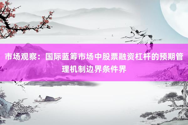 市场观察：国际蓝筹市场中股票融资杠杆的预期管理机制边界条件界