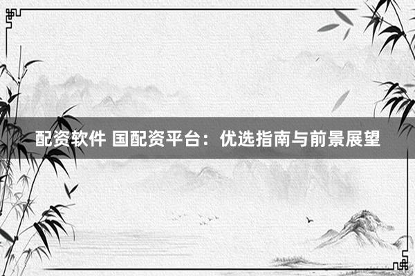 配资软件 国配资平台：优选指南与前景展望